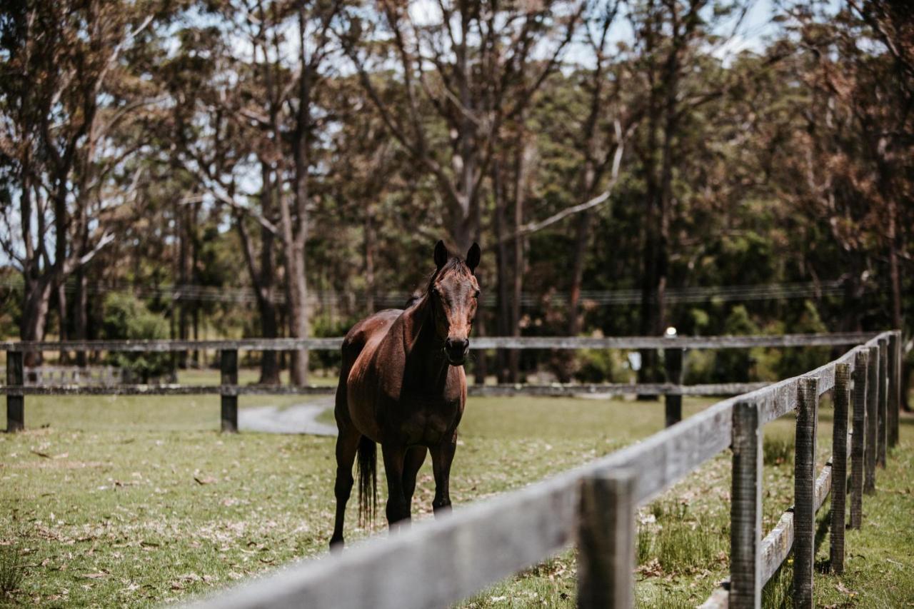 Hotel Worrowing Jervis Bay Huskisson Esterno foto