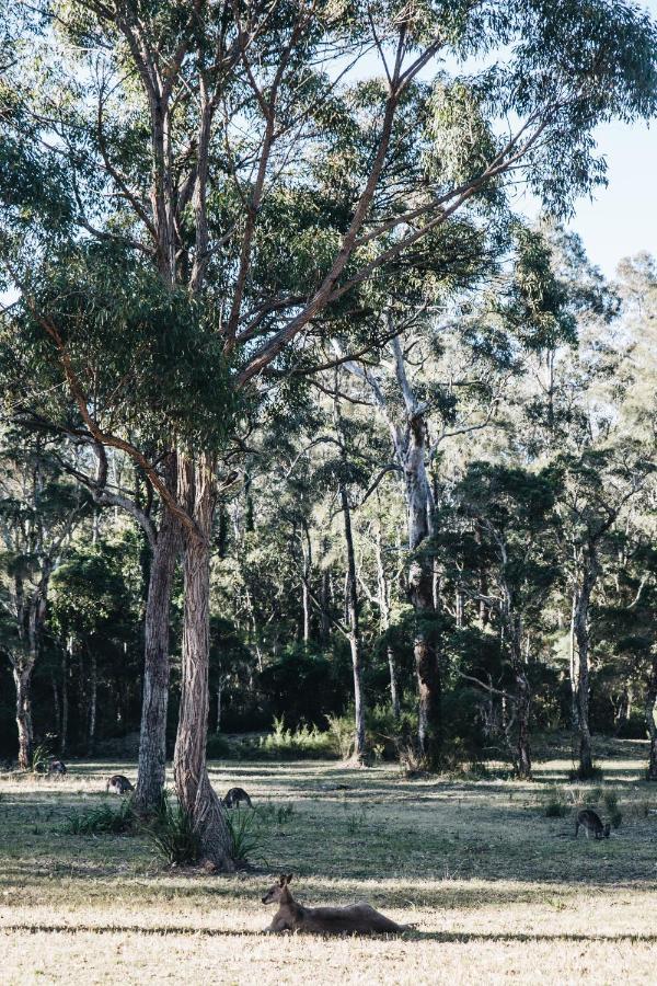 Hotel Worrowing Jervis Bay Huskisson Esterno foto