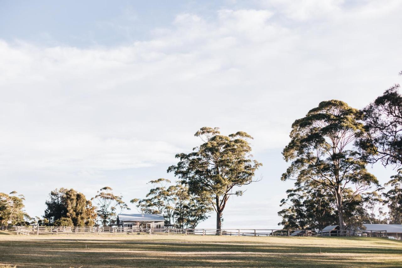 Hotel Worrowing Jervis Bay Huskisson Esterno foto